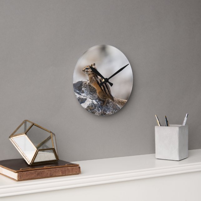 Reloj Redondo Mediano Curious Brown Chipmunk in Alberta (Oficina)