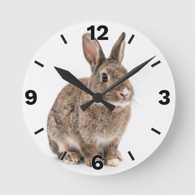 Reloj Redondo Mediano Cute Brown Rabbit Bunny Farm Nursery Decor (Anverso)