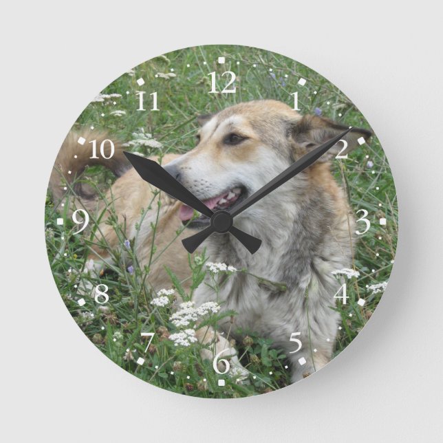 Reloj Redondo Mediano Cute Dog Green Grass Clockface 1 (Anverso)