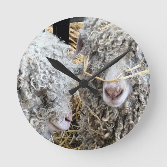 RELOJ REDONDO MEDIANO CUTE GOATS   (Anverso)