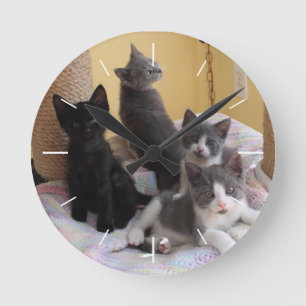 Reloj Redondo Mediano Cute Kittens Wall Clock
