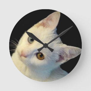 Reloj Redondo Mediano Cute White Turkish Van Kitten Clock