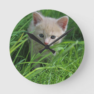 Reloj Redondo Mediano Cuteness