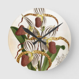 Reloj Redondo Mediano Cyprepedium Stonei Vintage Lindenia Orquid