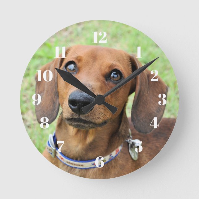 Reloj Redondo Mediano Dachshund (Anverso)