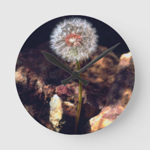 Reloj Redondo Mediano Dandelia