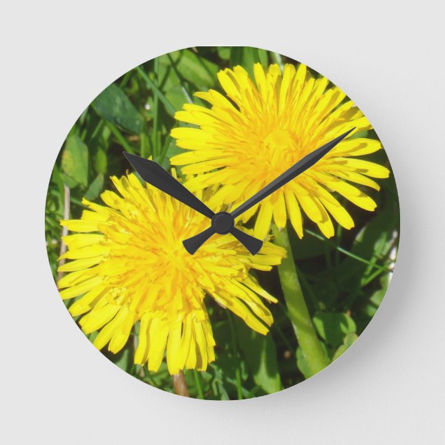 Reloj Redondo Mediano Dandelions (Anverso)