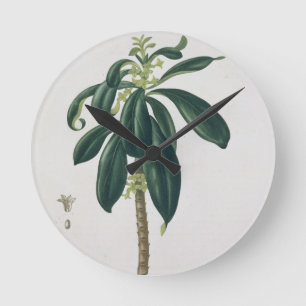 Reloj Redondo Mediano Daphne Laureda from 'Phytographie Medicale' by Jos