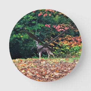 Reloj Redondo Mediano Deer in the Forest, Oregon