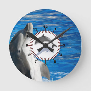 Reloj Redondo Mediano Delfín Lindo Playa Paz Amor Fiesta Destino