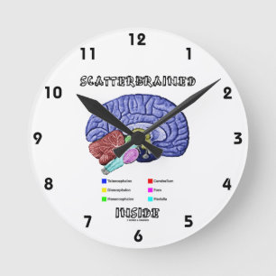 Reloj Redondo Mediano Dentro De Scatterbrain (Humor Cerebral)