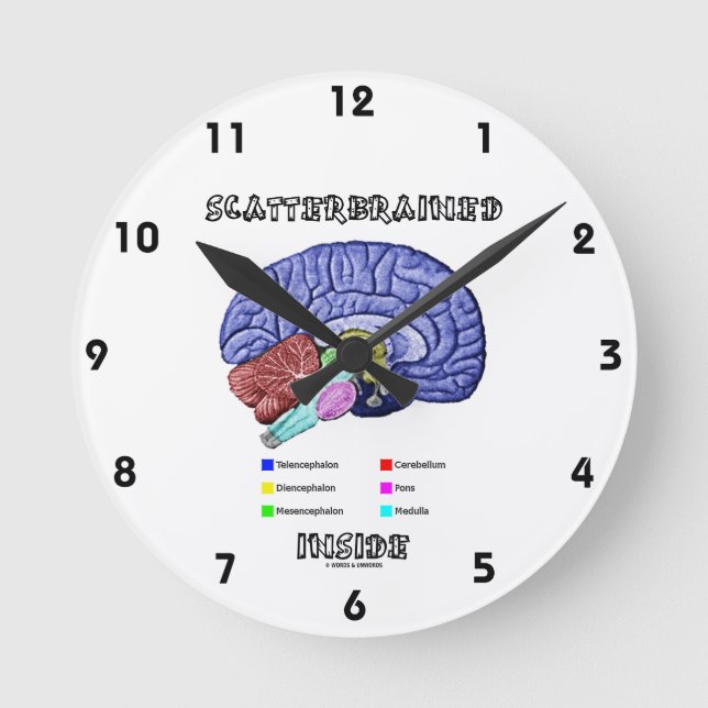 Reloj Redondo Mediano Dentro De Scatterbrain (Humor Cerebral) (Anverso)