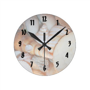 Reloj Redondo Mediano descasca imagen de la Florida muchos seashells