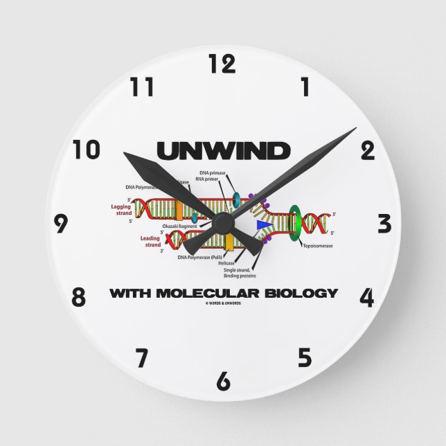 Reloj Redondo Mediano Desenrolle con la biología molecular (la réplica (Anverso)