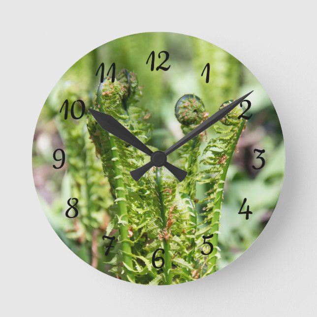 Reloj Redondo Mediano Despertando helecho joven en el jardín (Anverso)