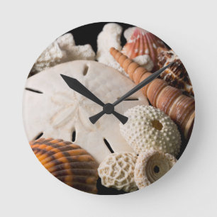 Reloj Redondo Mediano Detalle De Conchas Marinas De Todo El Mundo