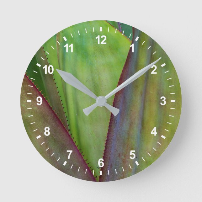 Reloj Redondo Mediano Detalle de planta agave (Anverso)