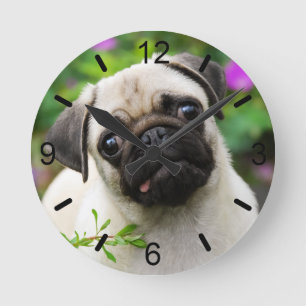 Reloj Redondo Mediano Dial-placa linda del retrato del perro de perrito