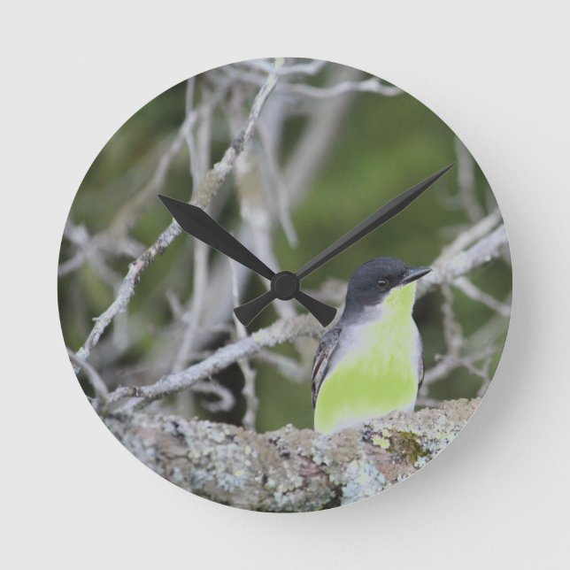 Reloj Redondo Mediano Diseño inspirado en la naturaleza (Anverso)