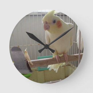 Reloj Redondo Mediano Diversión de Cockatiel