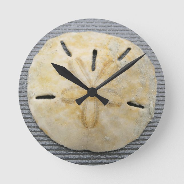 Reloj Redondo Mediano Dólar de arena natural (Anverso)