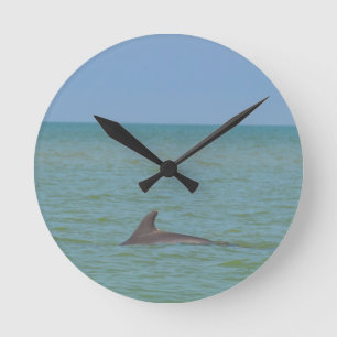Reloj Redondo Mediano Dolphin on Sanibel