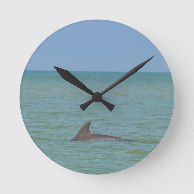 Reloj Redondo Mediano Dolphin on Sanibel (Anverso)