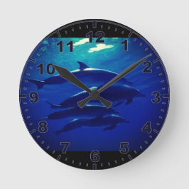 Reloj Redondo Mediano Dolphin Wall Clock