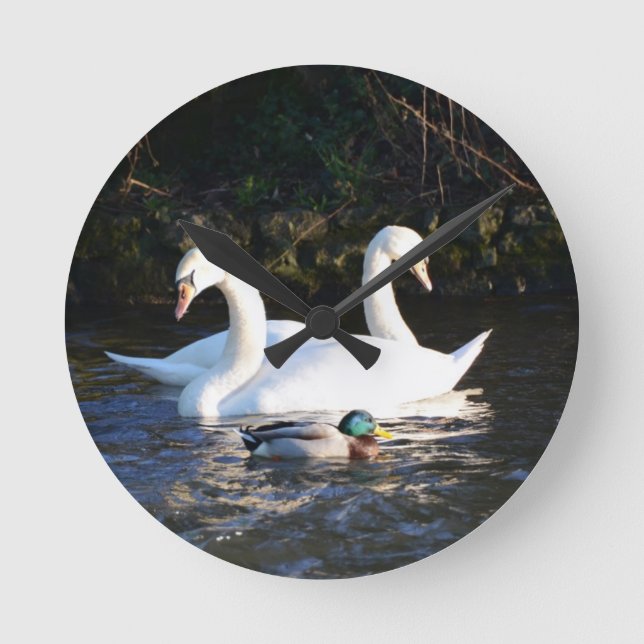 Reloj Redondo Mediano Dos cisnes y un pato (Anverso)