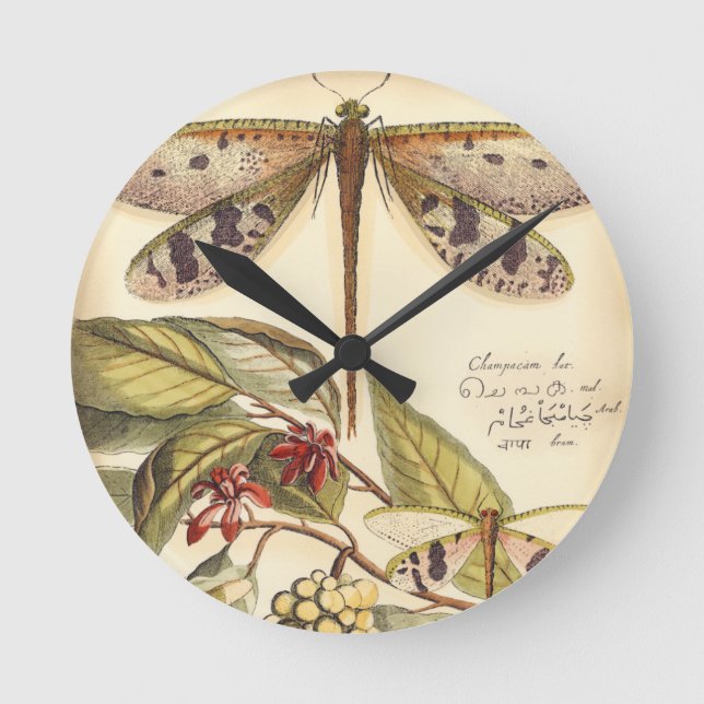 Reloj Redondo Mediano Dragonflies con hojas y fruta (Anverso)