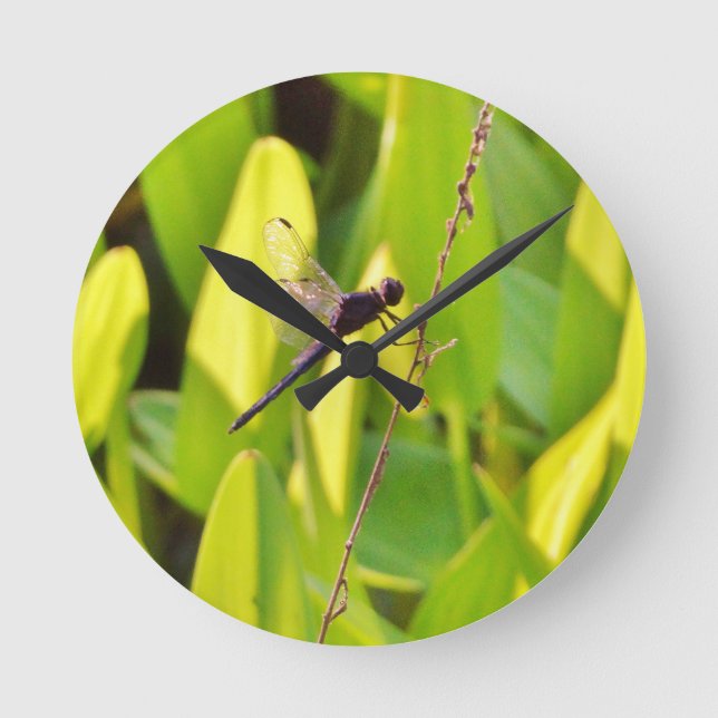 Reloj Redondo Mediano Dragonfly Blue and black on grass. (Anverso)