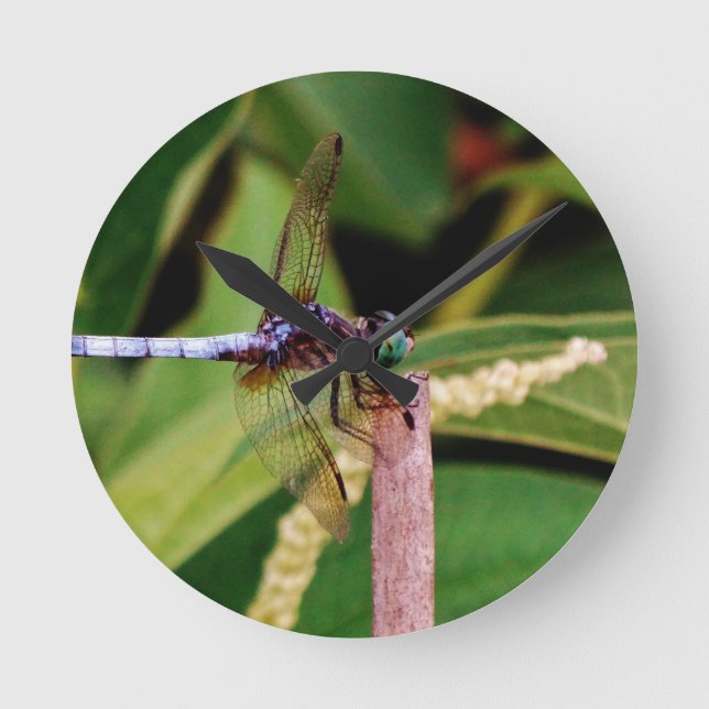 Reloj Redondo Mediano Dragonfly con flores blancas (Anverso)