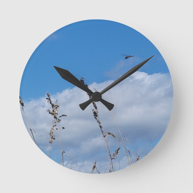 RELOJ REDONDO MEDIANO DRAGONFLY SKY (Anverso)