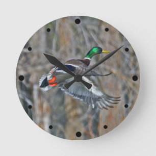 Reloj Redondo Mediano Drake mallard en vuelo