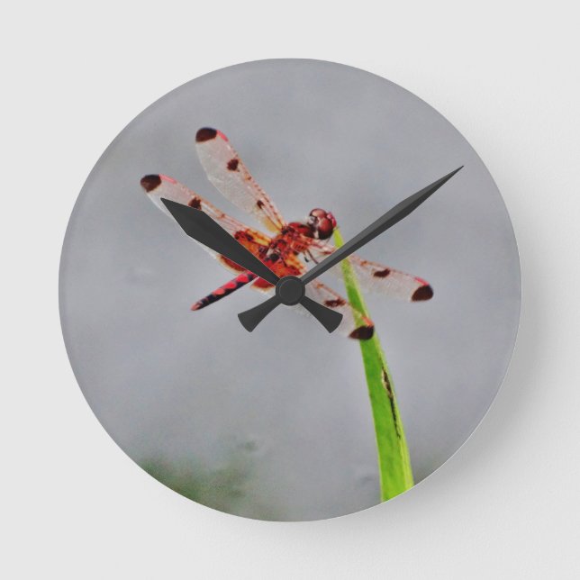 RELOJ REDONDO MEDIANO DSC00029.JPG (Anverso)