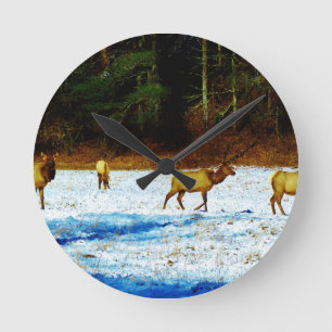 RELOJ REDONDO MEDIANO DSC00131.JPG