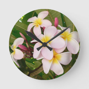 Reloj Redondo Mediano Ducha de Novia Flor de Frangipani Hawaiano Aloha