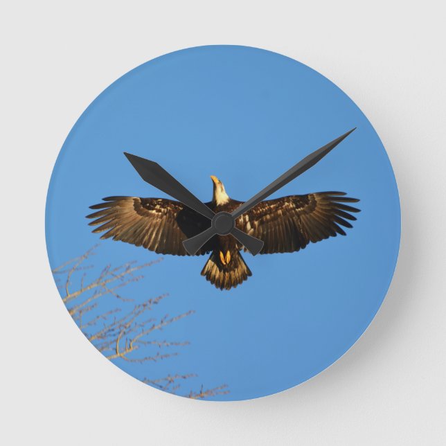 Reloj Redondo Mediano Eagle calvo Soaring1 (Anverso)