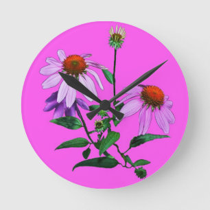 Reloj Redondo Mediano Echinacea sobre rosa