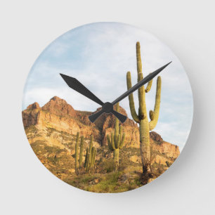 Reloj Redondo Mediano EE. UU., Arizona, Bosque Nacional Tonto, Picketpos