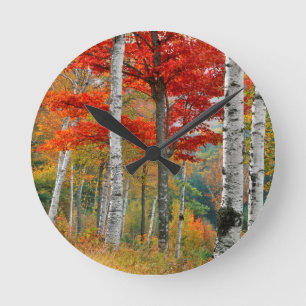 Reloj Redondo Mediano EE.UU., Maine, Lago Wyman. Bosque de pájaros