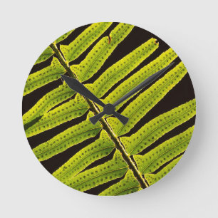 Reloj Redondo Mediano EE.UU., Washington, Parque Nacional Olímpico, ret