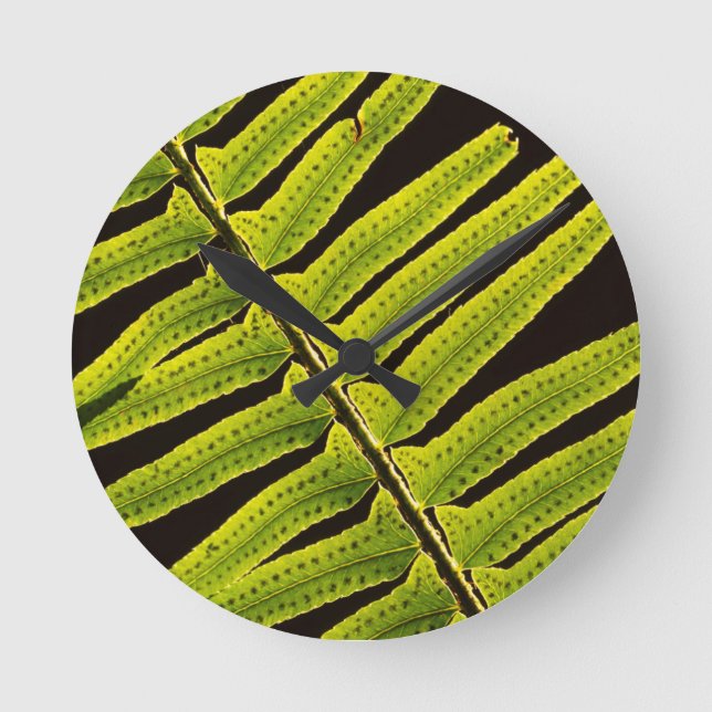 Reloj Redondo Mediano EE.UU., Washington, Parque Nacional Olímpico, retr (Anverso)