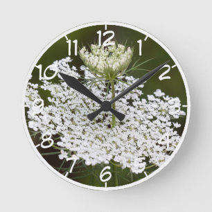 Reloj Redondo Mediano El encaje de la Reina Ann