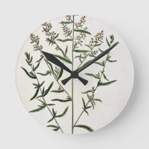 Reloj Redondo Mediano El estragón, platea 116 "de un herbario curioso",