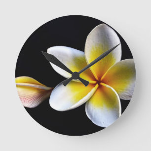 Reloj Redondo Mediano El Frangipani hawaiano de la hawaiana florece los