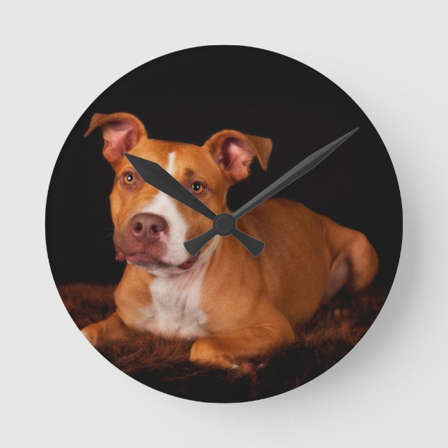 Reloj Redondo Mediano El Pitty dulce (Anverso)