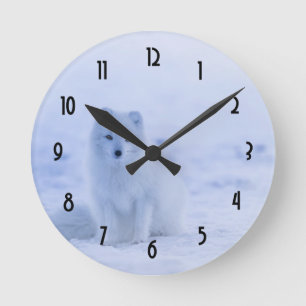 Reloj Redondo Mediano El zorro ártico lindo en el invierno nevado