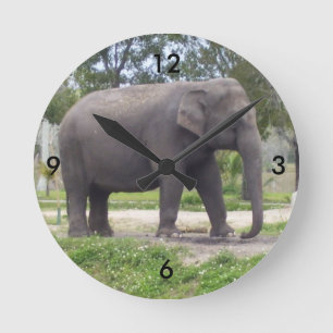 Reloj Redondo Mediano Elefante en el Tiempo de Sendero Tranquilo