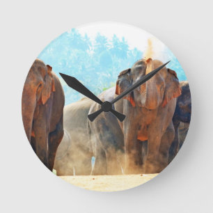 Reloj Redondo Mediano Elefantes Animales Safari Destruyen Amor por la Pa